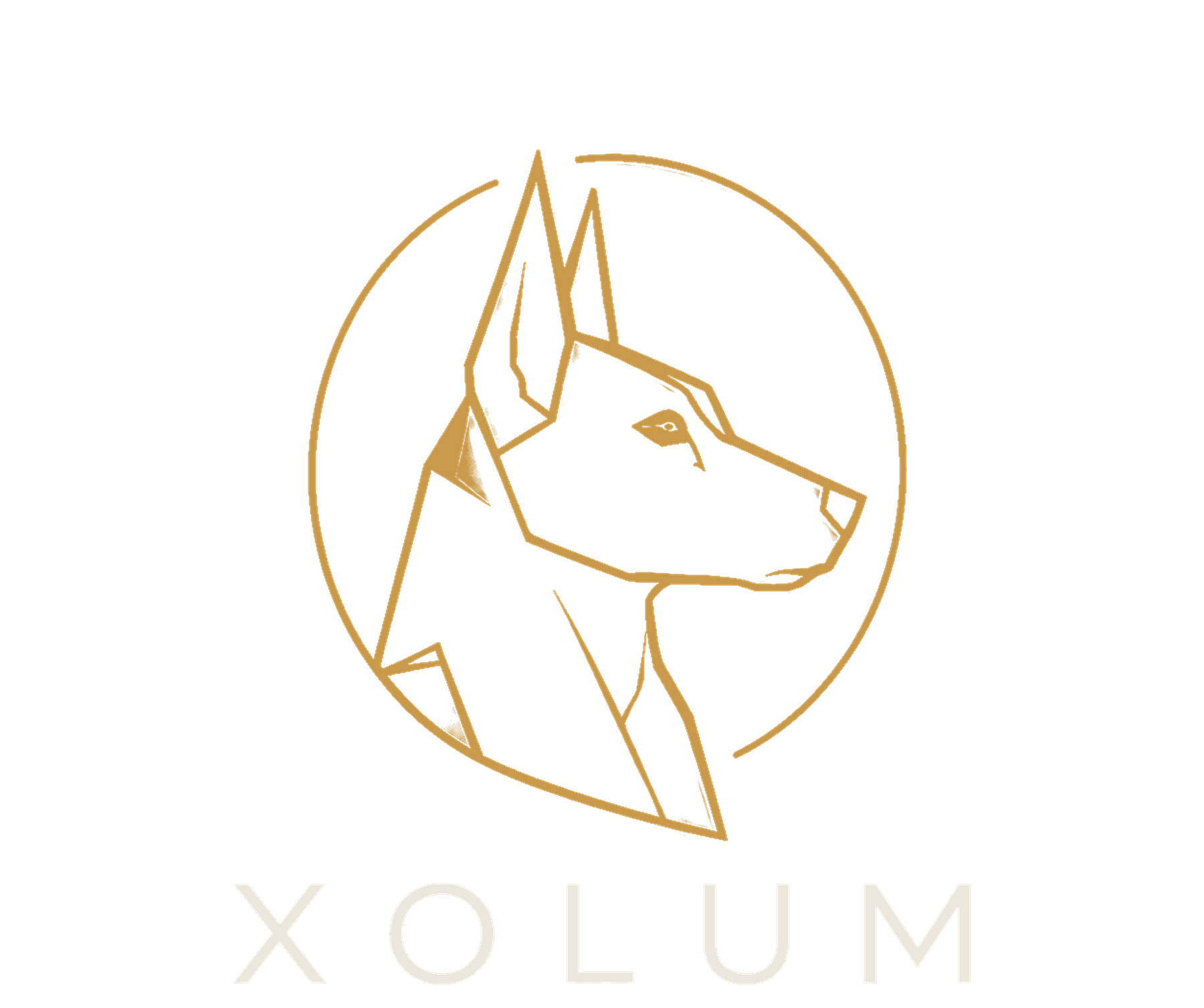 XOLUM plano