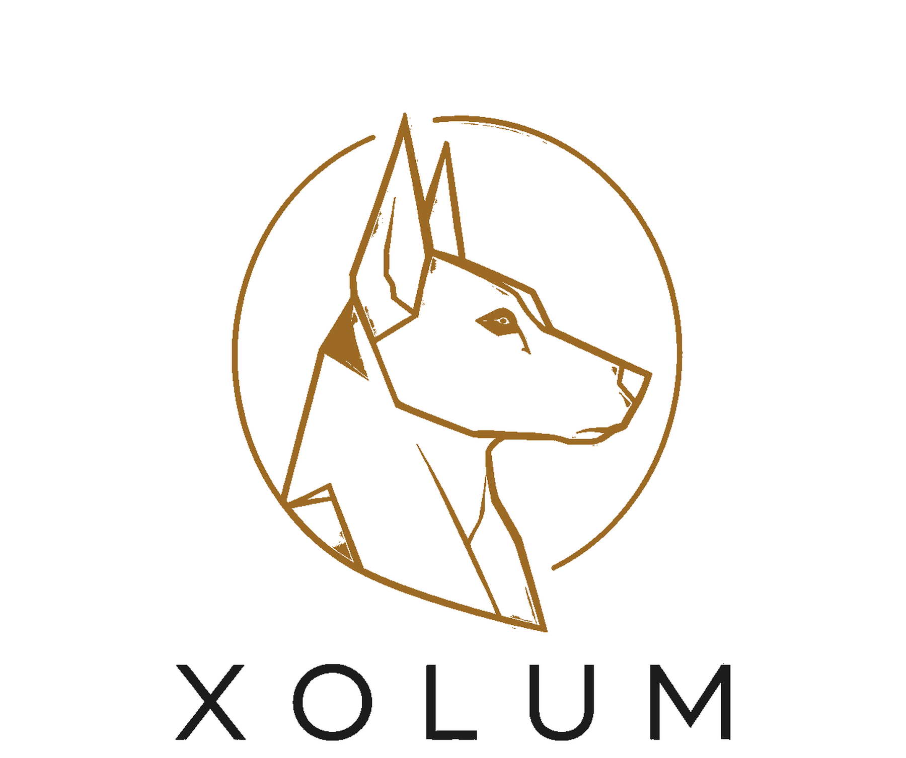 XOLUM claro