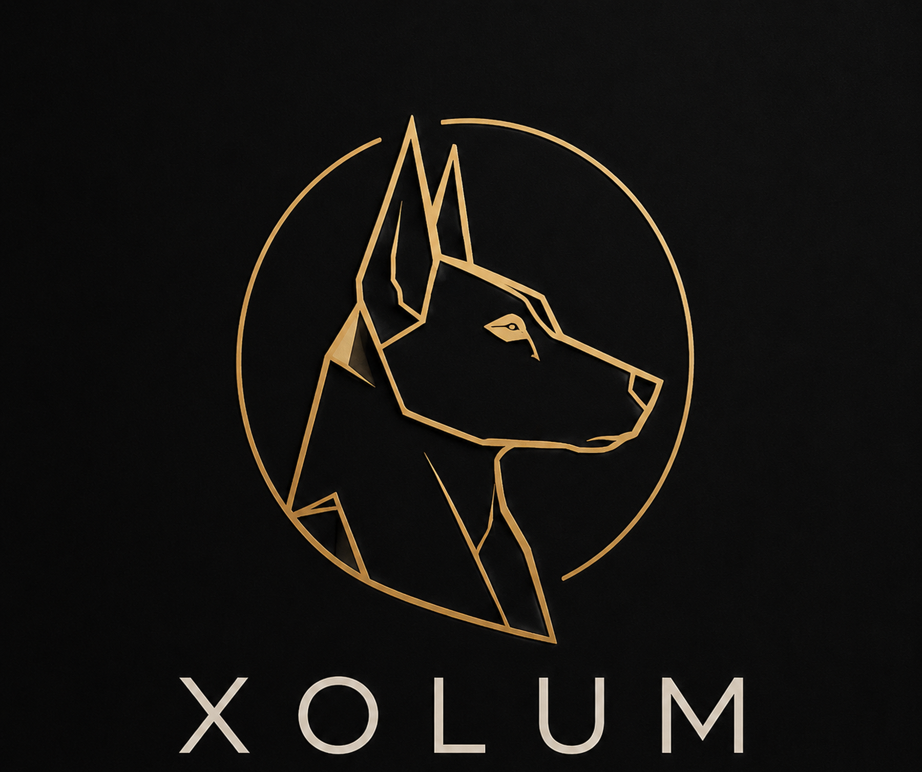 XOLUM oscuro metálico